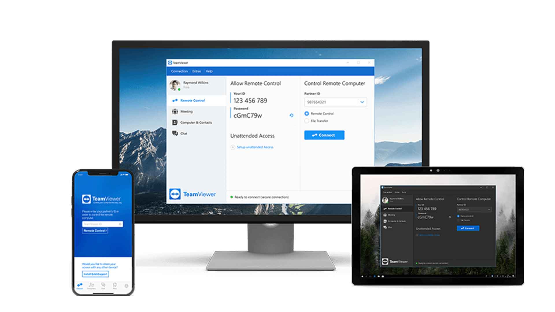 teamviewer teamviewer